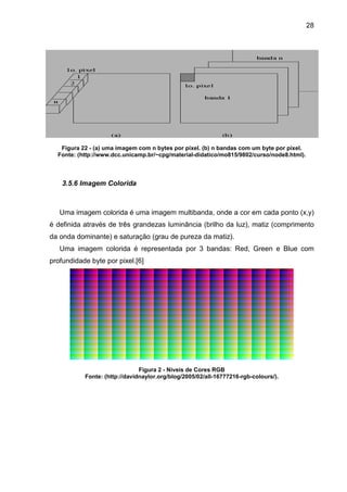 28

Figura 22 - (a) uma imagem com n bytes por pixel. (b) n bandas com um byte por pixel.
Fonte: (http://www.dcc.unicamp.br/~cpg/material-didatico/mo815/9802/curso/node8.html).

3.5.6 Imagem Colorida

Uma imagem colorida é uma imagem multibanda, onde a cor em cada ponto (x,y)
é definida através de três grandezas luminância (brilho da luz), matiz (comprimento
da onda dominante) e saturação (grau de pureza da matiz).
Uma imagem colorida é representada por 3 bandas: Red, Green e Blue com
profundidade byte por pixel.[6]

Figura 2 - Niveis de Cores RGB
Fonte: (http://davidnaylor.org/blog/2005/02/all-16777216-rgb-colours/).

 