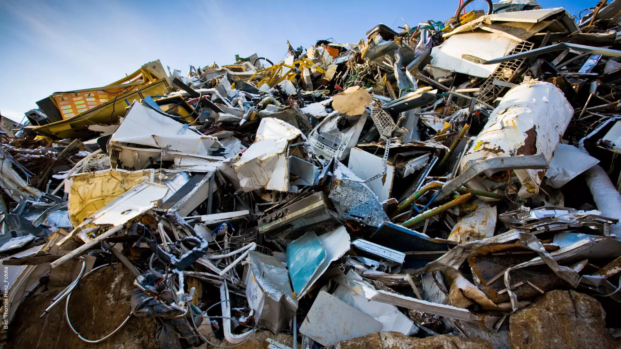 | Felix Prumbohm
Bild:ThomasRenz_Fotolia
 