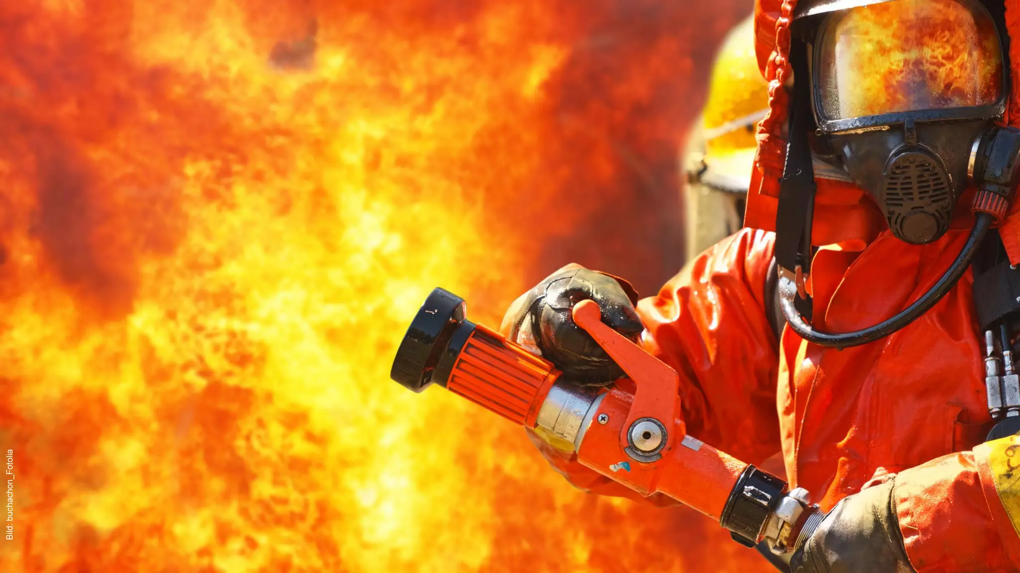 | Felix Prumbohm
Bild:buchachon_Fotolia
 