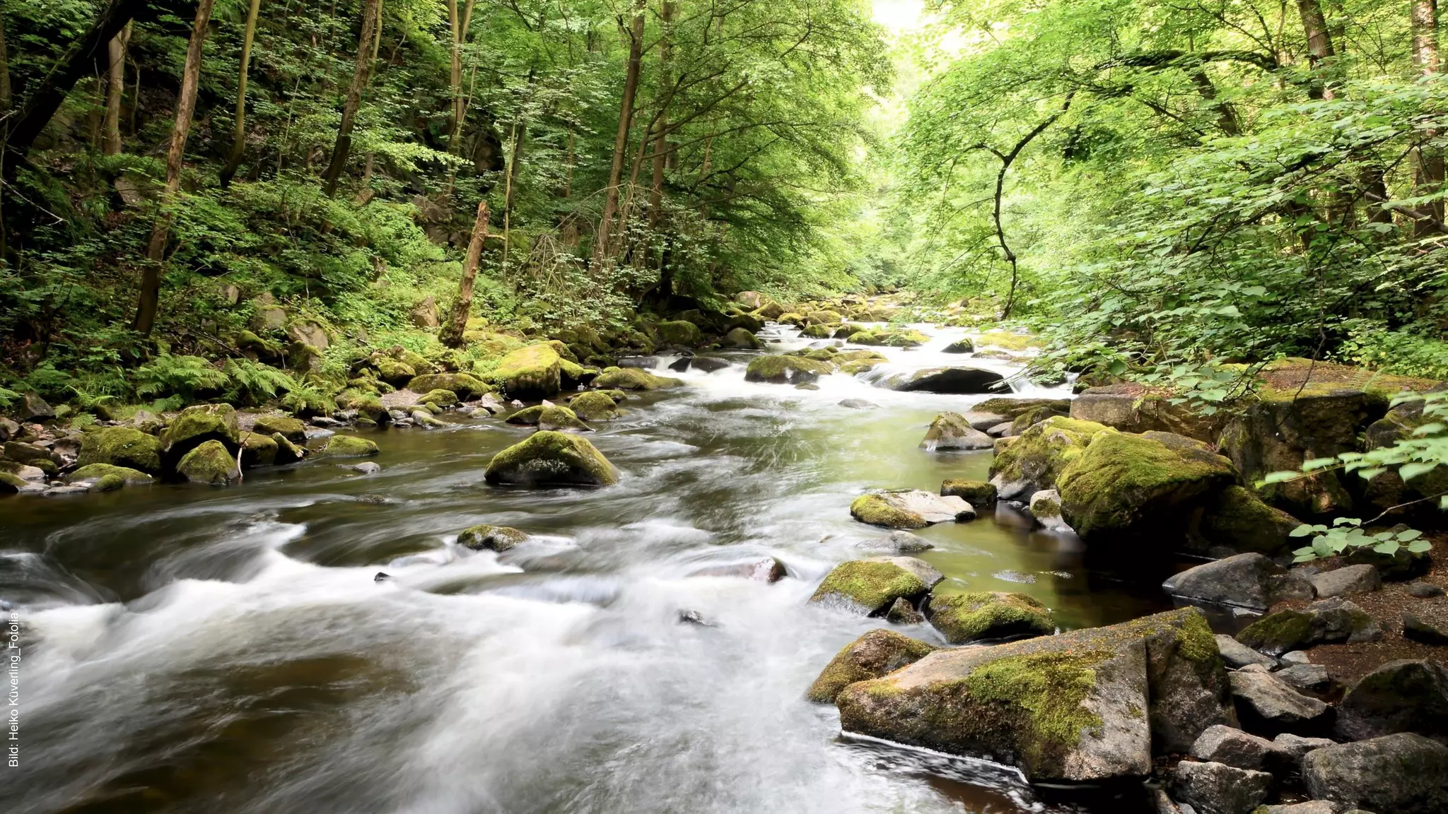 | Felix Prumbohm
Bild:HeikoKüverling_Fotolia
 