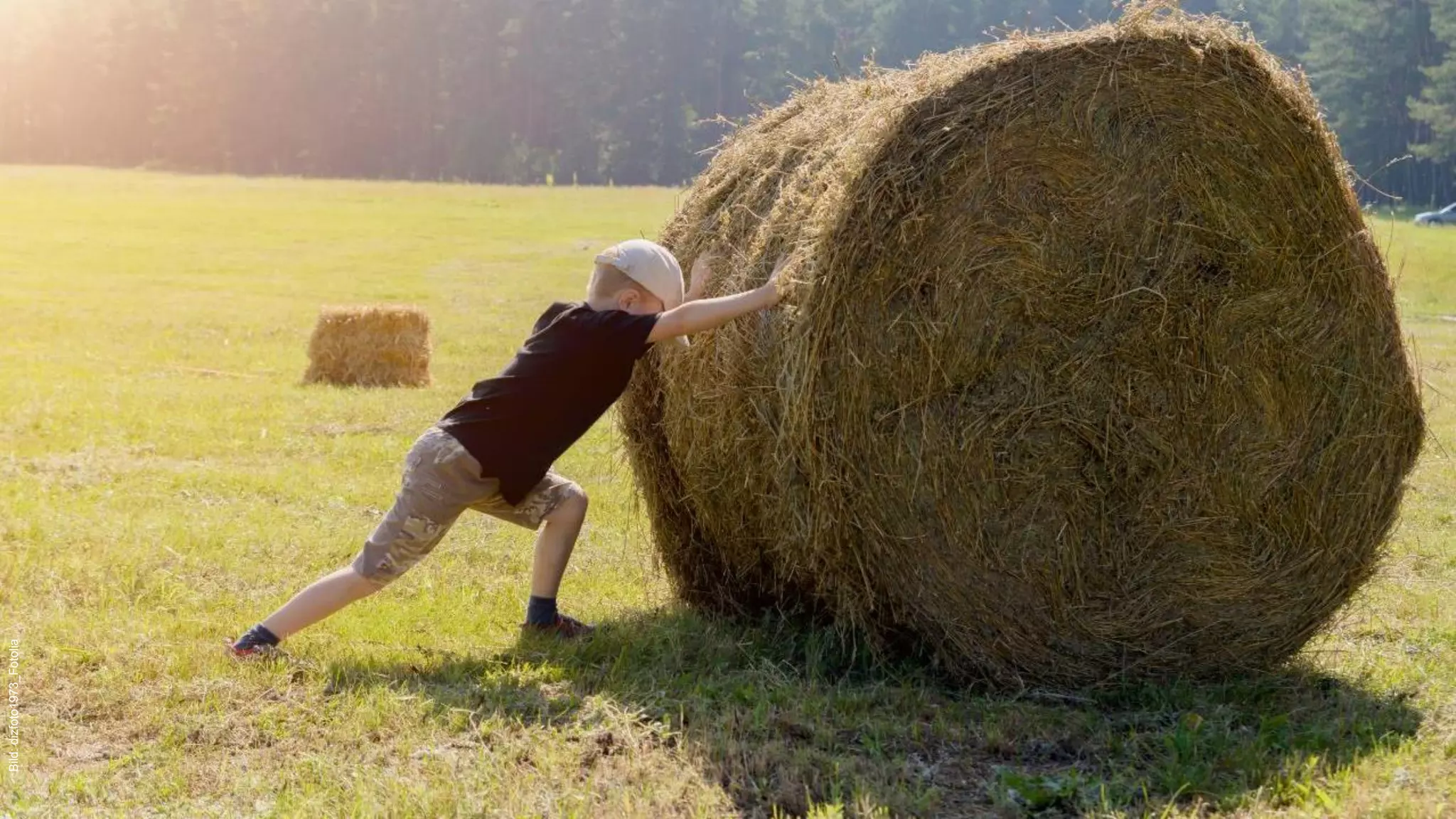 | Felix Prumbohm
Bild:dizfoto1973_Fotolia
 