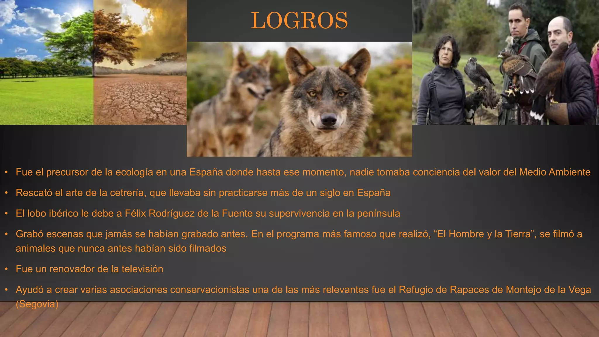 LOGROS
• Fue el precursor de la ecología en una España donde hasta ese momento, nadie tomaba conciencia del valor del Medio Ambiente
• Rescató el arte de la cetrería, que llevaba sin practicarse más de un siglo en España
• El lobo ibérico le debe a Félix Rodríguez de la Fuente su supervivencia en la península
• Grabó escenas que jamás se habían grabado antes. En el programa más famoso que realizó, “El Hombre y la Tierra”, se filmó a
animales que nunca antes habían sido filmados
• Fue un renovador de la televisión
• Ayudó a crear varias asociaciones conservacionistas una de las más relevantes fue el Refugio de Rapaces de Montejo de la Vega
(Segovia)
 