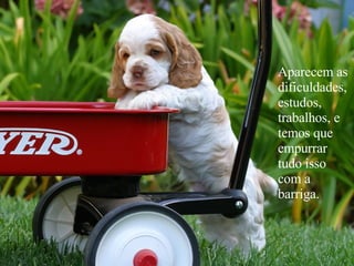 Aparecem as dificuldades, estudos, trabalhos, e temos que empurrar tudo isso com a barriga. 