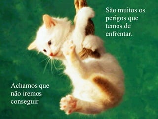 São muitos os perigos que temos de enfrentar. Achamos que não iremos conseguir.  