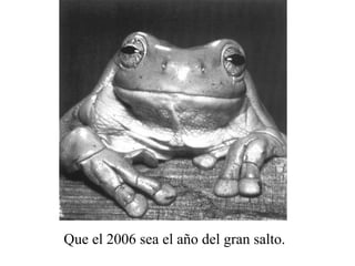 Que el 2006 sea el año del gran salto. 
