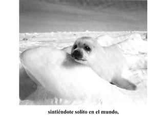 sintiéndote solito en el mundo, 