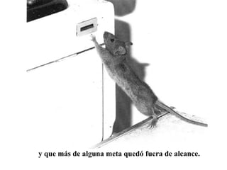 y que más de alguna meta quedó fuera de alcance. 