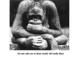 Si este año no te hizo sentir del todo bien 