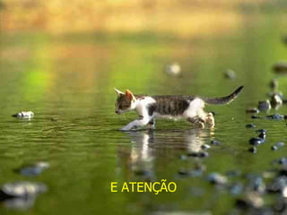 E ATENÇÃO 