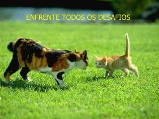 ENFRENTE TODOS OS DESAFIOS 