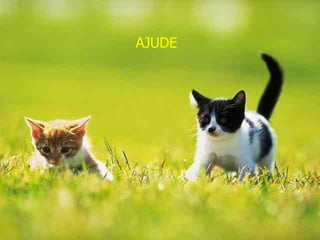 AJUDE  