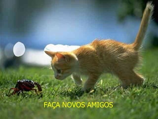 FAÇA NOVOS AMIGOS 