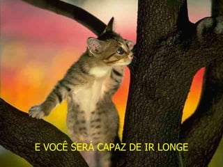 E VOCÊ SERÁ CAPAZ DE IR LONGE 