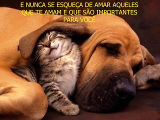 E NUNCA SE ESQUEÇA DE AMAR AQUELES QUE TE AMAM E QUE SÃO IMPORTANTES PARA VOCÊ 