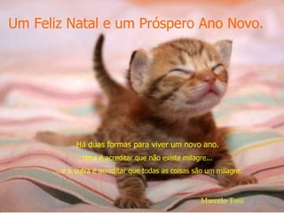 Um Feliz Natal e um Próspero Ano Novo. Há duas formas para viver um novo ano. Uma é acreditar que não existe milagre... ... e a outra é acreditar que todas as coisas são um milagre. Marcelo Toni 