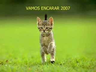 VAMOS ENCARAR 2007 