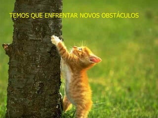 TEMOS QUE ENFRENTAR NOVOS OBSTÁCULOS 