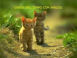 DIVIDA SEU TEMPO COM AMIGOS 