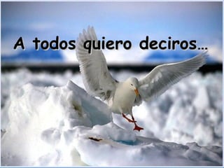 A todos quiero deciros… 