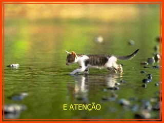 E ATENÇÃO 