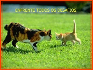 ENFRENTE TODOS OS DESAFIOS 