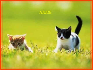 AJUDE  