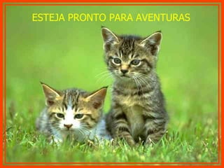 ESTEJA PRONTO PARA AVENTURAS 