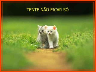 TENTE NÃO FICAR SÓ 