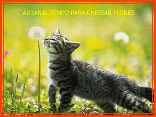 ARRANJE TEMPO PARA CHEIRAR FLORES 