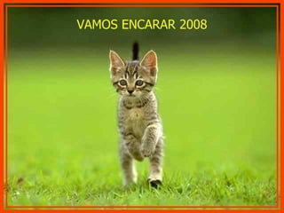 VAMOS ENCARAR 2008 
