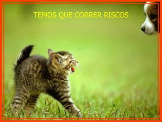 TEMOS QUE CORRER RISCOS 
