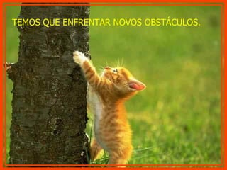 TEMOS QUE ENFRENTAR NOVOS OBSTÁCULOS. 