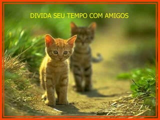 DIVIDA SEU TEMPO COM AMIGOS 