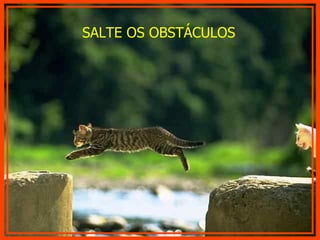 SALTE OS OBSTÁCULOS 