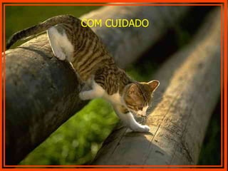 COM CUIDADO 