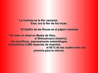 *  La Cantuta es la flor nacional.   Esta, era la flor de los incas .   * El Gallito de las Rocas es el pájaro nacional .   * En sólo un árbol en Madre de Dios,  el Shihuahuaco (Asterix),   los científicos, expresamente entomólogos,  encontraron 5,000 especies de insectos,  el 80 % de los cuales eran una primicia para la ciencia . 