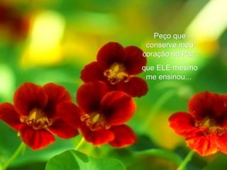 Peço que conserve meu coração na Paz  que ELE mesmo me ensinou...  