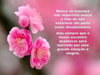 Nunca se esqueça não importará nunca o fato de não estarmos tão perto como desejaríamos, mas sempre que o nosso encontro acontecer será marcado por uma grande emoção e alegria. 