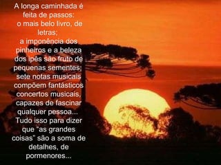 A longa caminhada é feita de passos: o mais belo livro, de letras;  a imponência dos pinheiros e a beleza dos ipês são fruto de pequenas sementes;  sete notas musicais compõem fantásticos concertos musicais, capazes de fascinar qualquer pessoa...  Tudo isso para dizer que “as grandes coisas” são a soma de detalhes, de pormenores... 