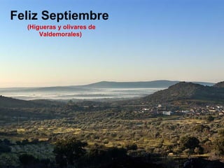 Feliz Septiembre   (Higueras y olivares de Valdemorales) 