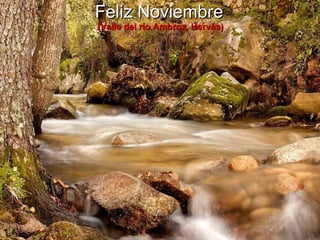 Feliz Noviembre   (Valle del río Ambroz, Hervás) 