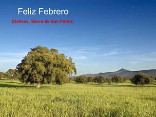 Feliz Febrero (Dehesa, Sierra de San Pedro) 