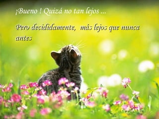 ¡Bueno ! Quizá no tan lejos ... Pero decididamente,  más lejos que nunca antes 