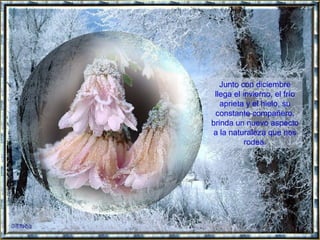 Junto con diciembre llega el invierno, el frío aprieta y el hielo, su constante compañero, brinda un nuevo aspecto a la naturaleza que nos rodea. 