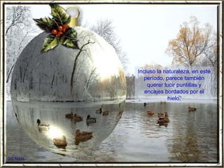 Incluso la naturaleza, en este período, parece también querer lucir puntillas y encajes bordados por el hielo, 