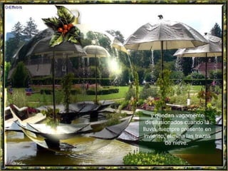 y quedan vagamente desilusionados cuando la lluvia, siempre presente en invierno, elimina las trazas de nieve.  