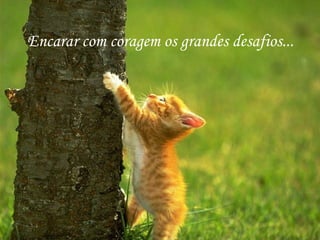 Encarar com coragem os grandes desafios... 