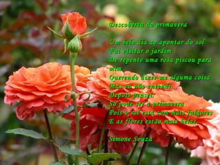 Descoberta da primavera Um belo dia ao apontar do sol Fui visitar o jardim De repente uma rosa piscou para mim Querendo dizer-me alguma coisa Mas eu não entendi... Depois pensei: Só pode ser a primavera  Pois o sol está com mais fulgores E as flores estão mais belas. Simone Souza 