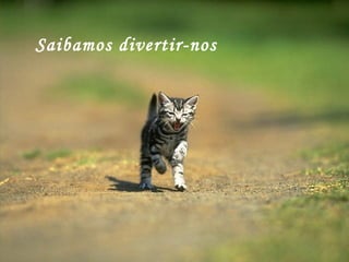 Saibamos divertir-nos 