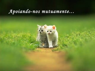 Apoiando-nos mutuamente… 